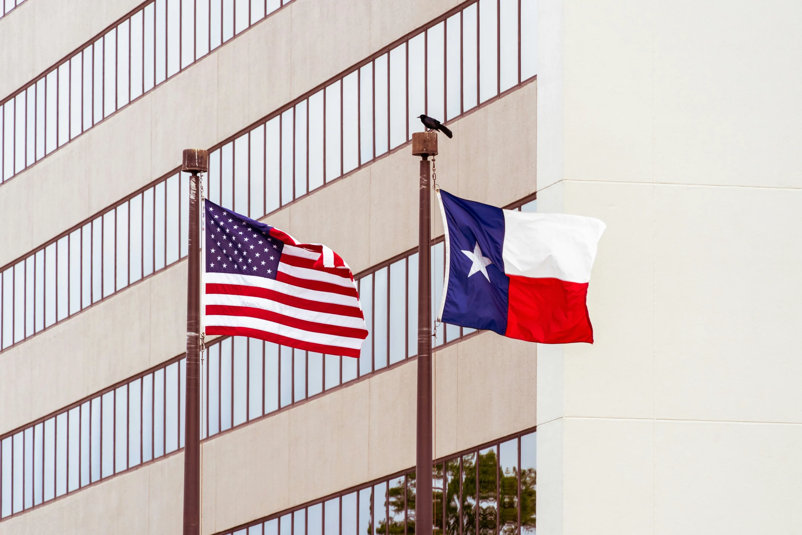 Understanding Texas State Income Tax: A Guide to State Tax Laws in Texas